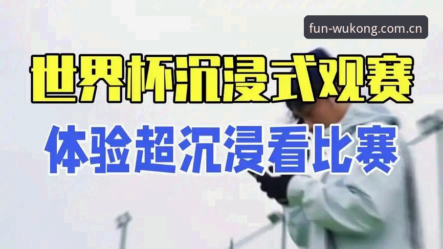 世界杯热潮下的签证困局：悟空体育平台深度评测观赛体验